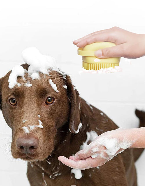 Load image into Gallery viewer, Bath Massage Gloves for Large Dogs and Cats
