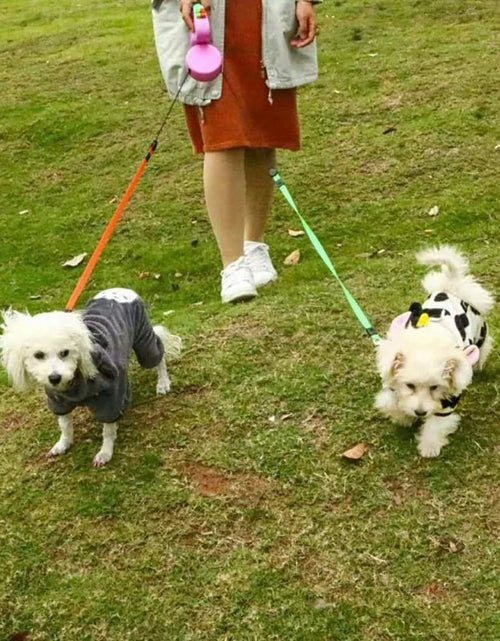 Load image into Gallery viewer, Dog Collars - 2 In 1 Dog Leash
