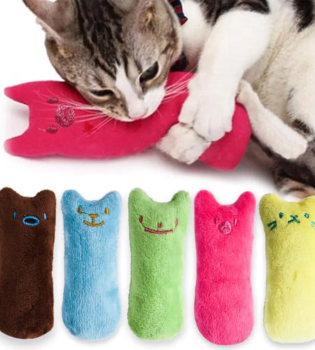 Catnip Toy for Cats