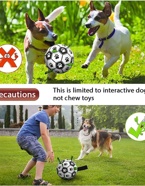 Load image into Gallery viewer, Interactive Dog Football
