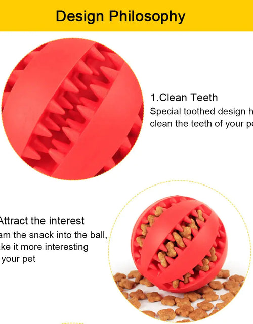 Load image into Gallery viewer, Interactive Pets Rubber Balls
