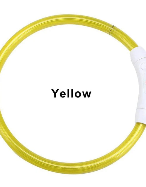 Load image into Gallery viewer, LED Collar Night Safety For Pets
