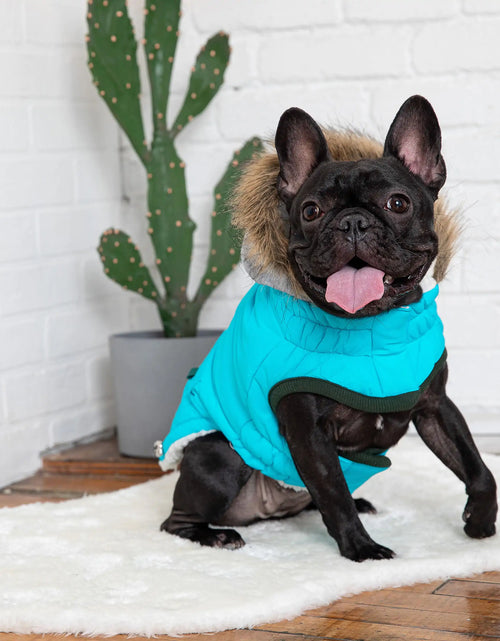 Load image into Gallery viewer, Winter Sailor Parka - Aqua

