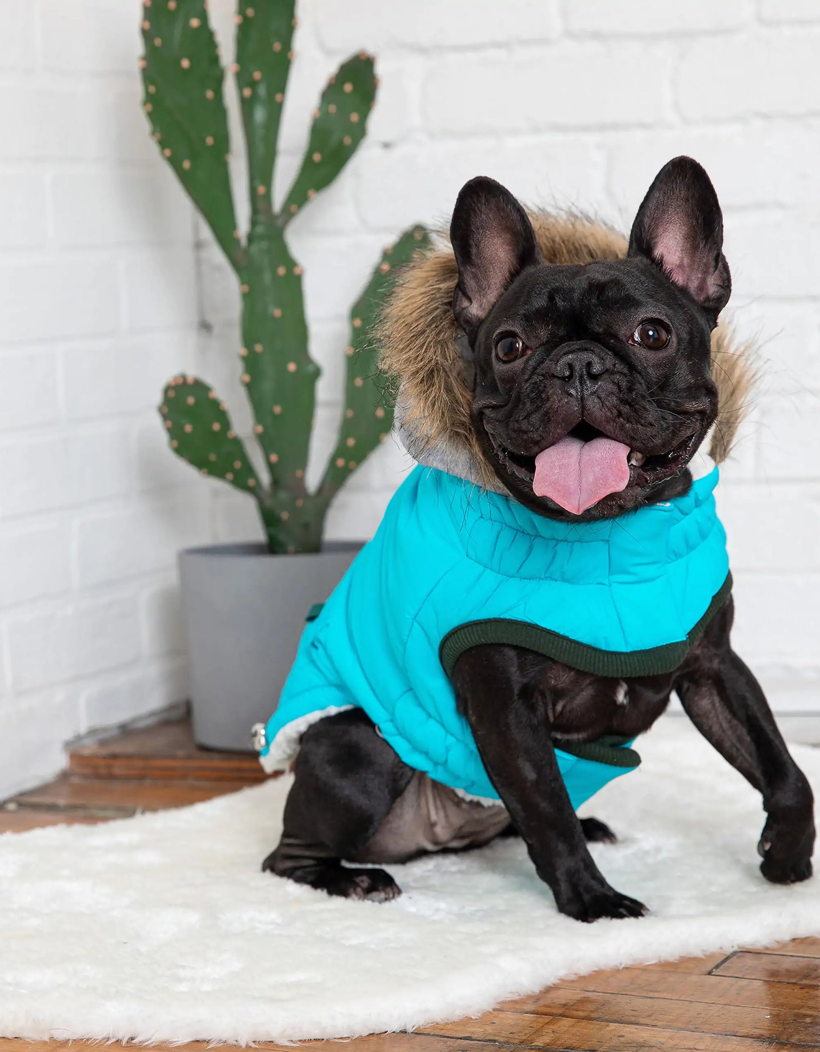 Winter Sailor Parka - Aqua