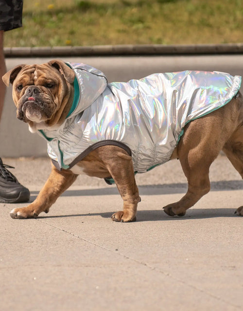 Load image into Gallery viewer, Reversible Raincoat - Neon Aqua with Iridescent

