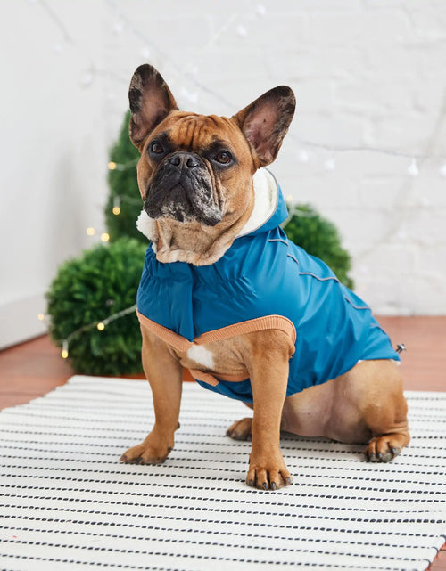 Load image into Gallery viewer, Insulated Raincoat - Dark Blue
