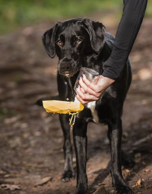 Load image into Gallery viewer, Pet Water Bottle
