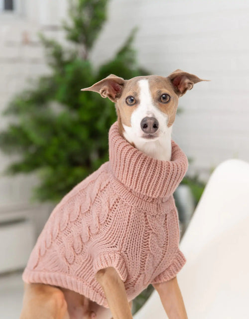 Load image into Gallery viewer, Snuggly Chalet Pet Sweater
