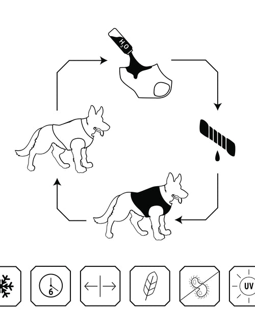 Load image into Gallery viewer, Dog Cooling Vest

