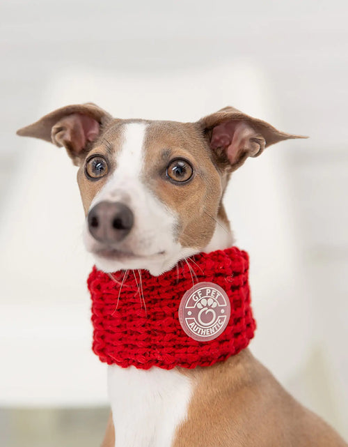 Load image into Gallery viewer, Chalet Tube Scarf - Red

