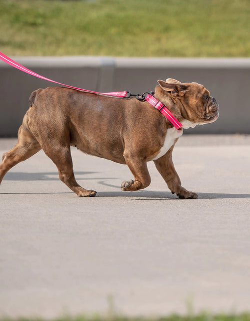 Load image into Gallery viewer, Reflective Collar - Neon Pink

