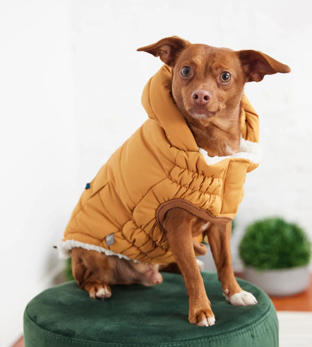 Super Puff Parka - Yellow