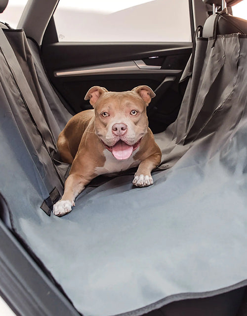 Load image into Gallery viewer, Pet Hammock Seat Cover

