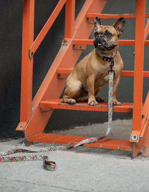 Load image into Gallery viewer, Printed Leash - Comic Book
