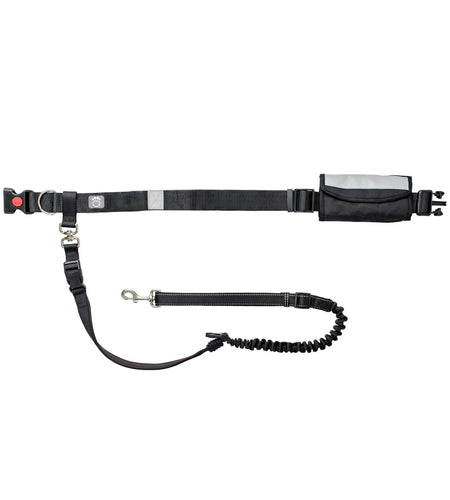 Waist Belt & Bungee Leash