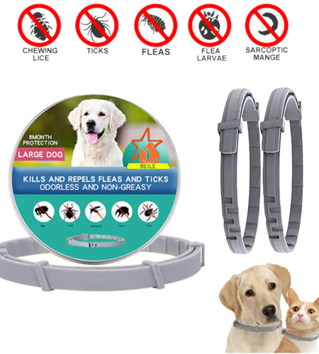 Anti-Flea Pet Necklace