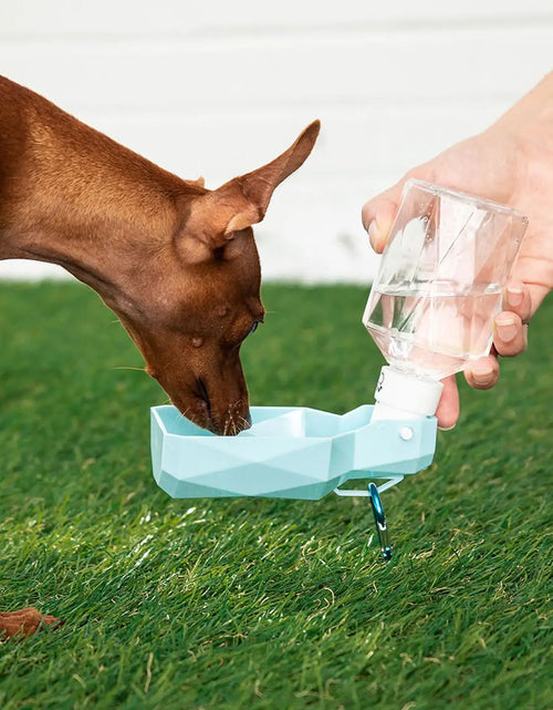 Load image into Gallery viewer, Pet Water Bottle
