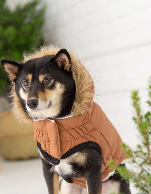 Load image into Gallery viewer, Elasto-Fit Urban Parka - Caramel
