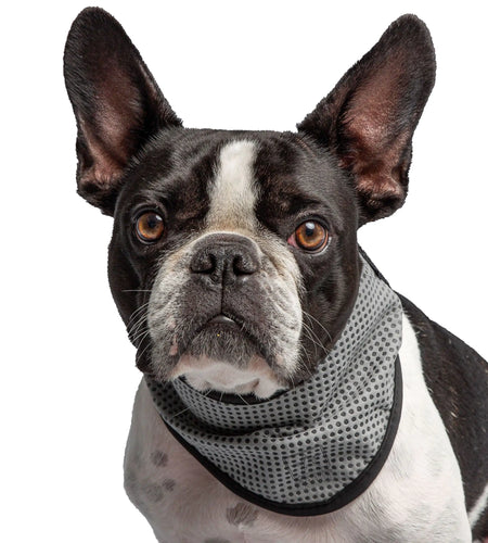 Army Dog Cooling Bandana