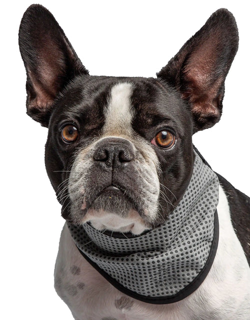 Load image into Gallery viewer, Army Dog Cooling Bandana
