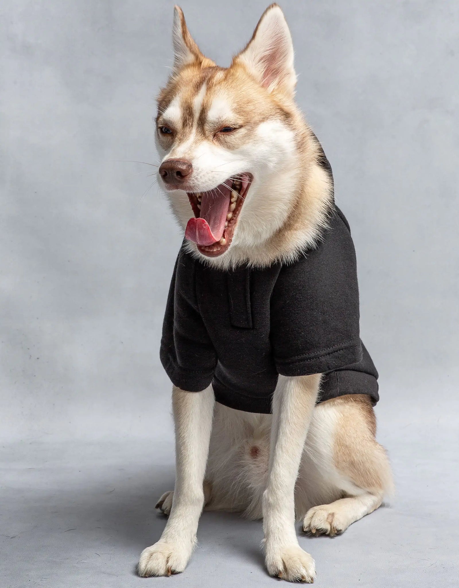 Hooded Dog Fleece