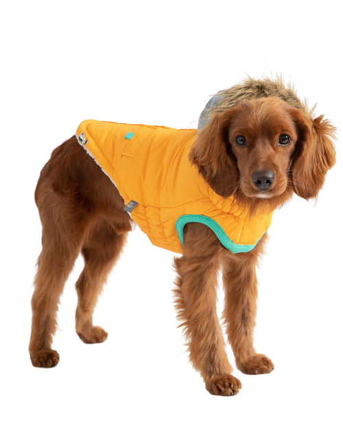 Load image into Gallery viewer, Winter Sailor Parka - Yellow
