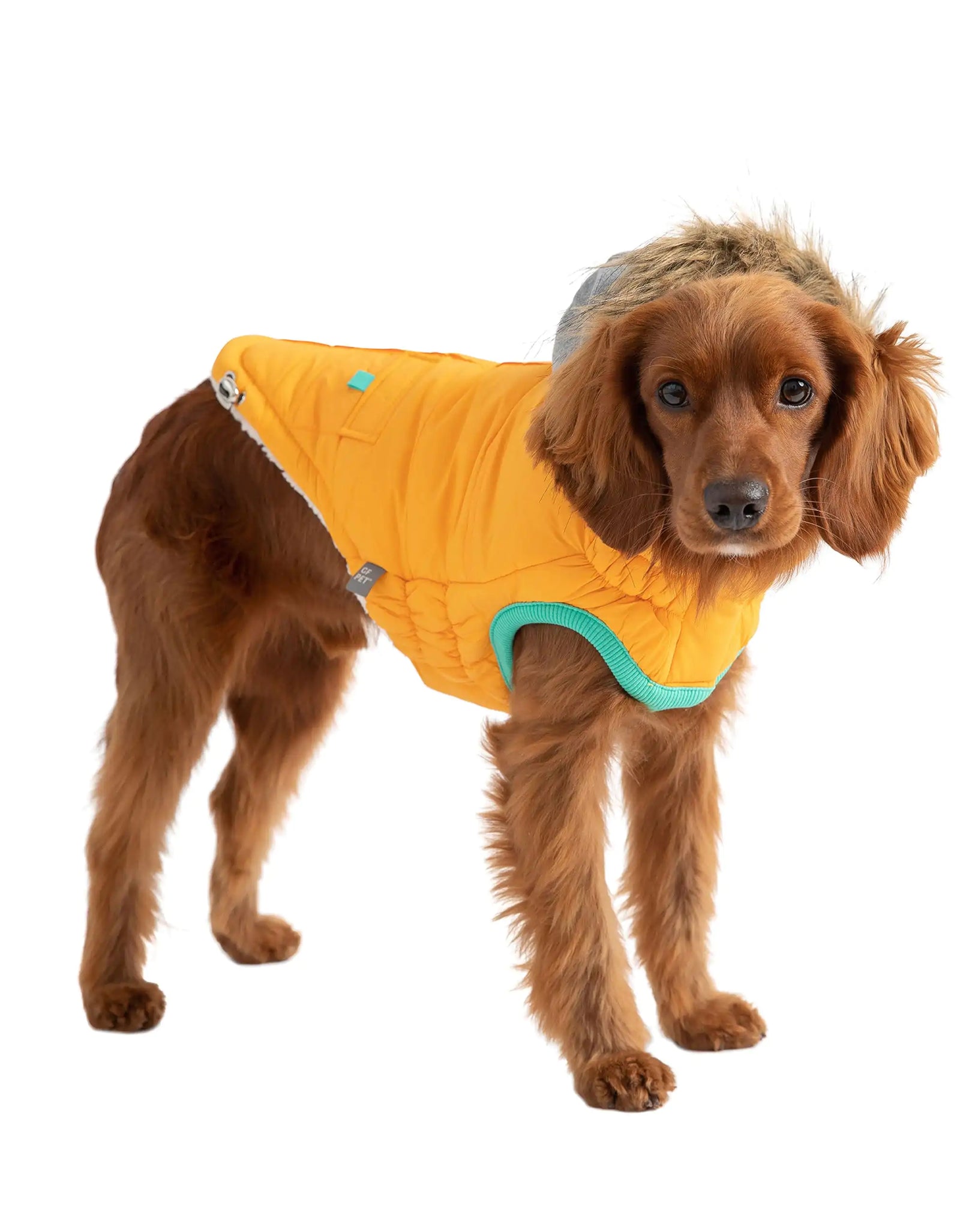 Winter Sailor Parka - Yellow