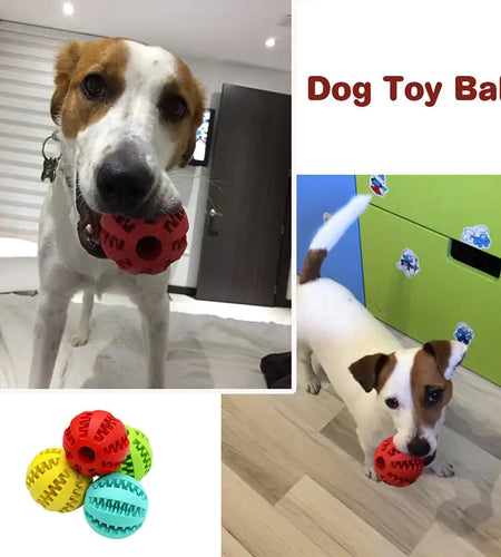Treat Ball for Cats and Dogs