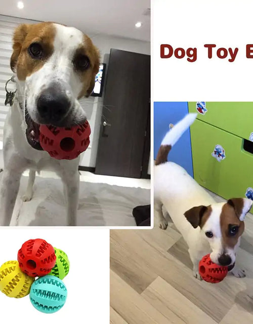 Load image into Gallery viewer, Treat Ball for Cats and Dogs
