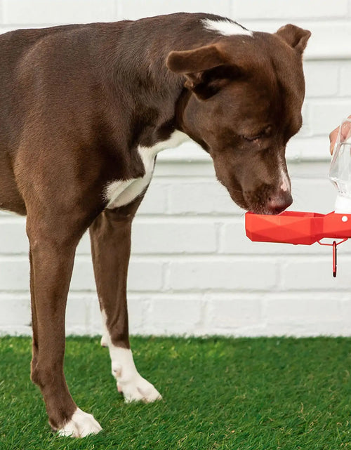 Load image into Gallery viewer, Pet Water Bottle
