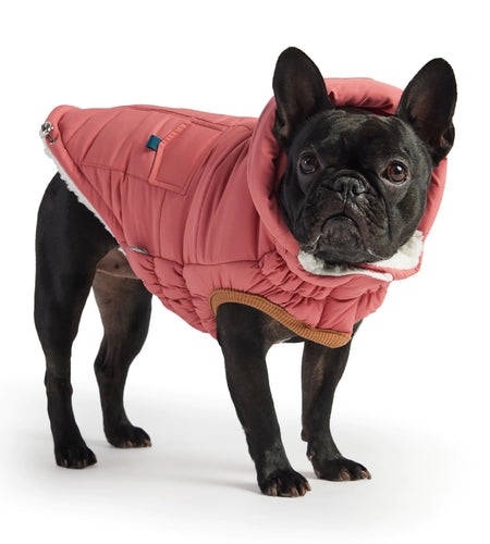 Super Puff Parka - Pink