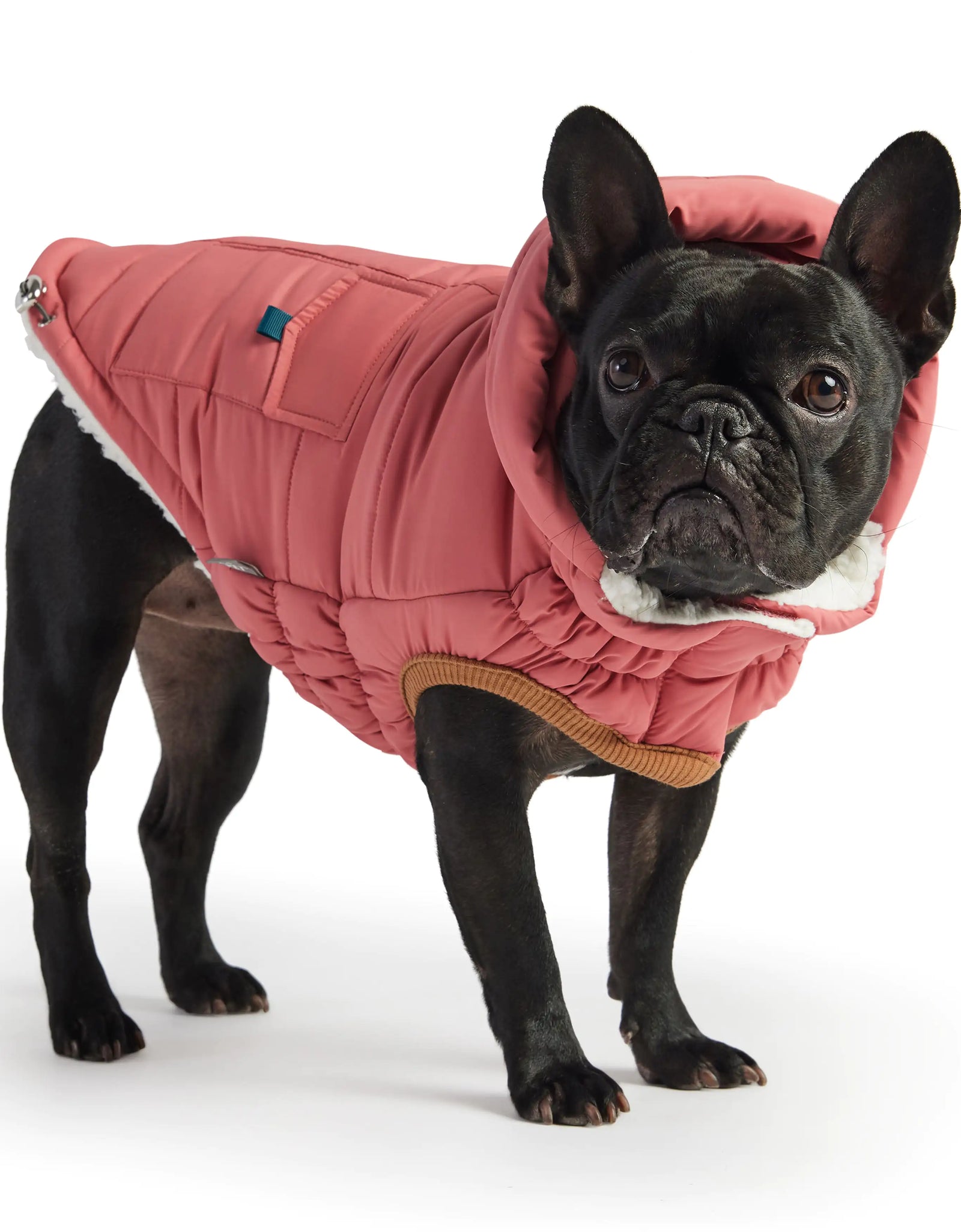 Super Puff Parka - Pink