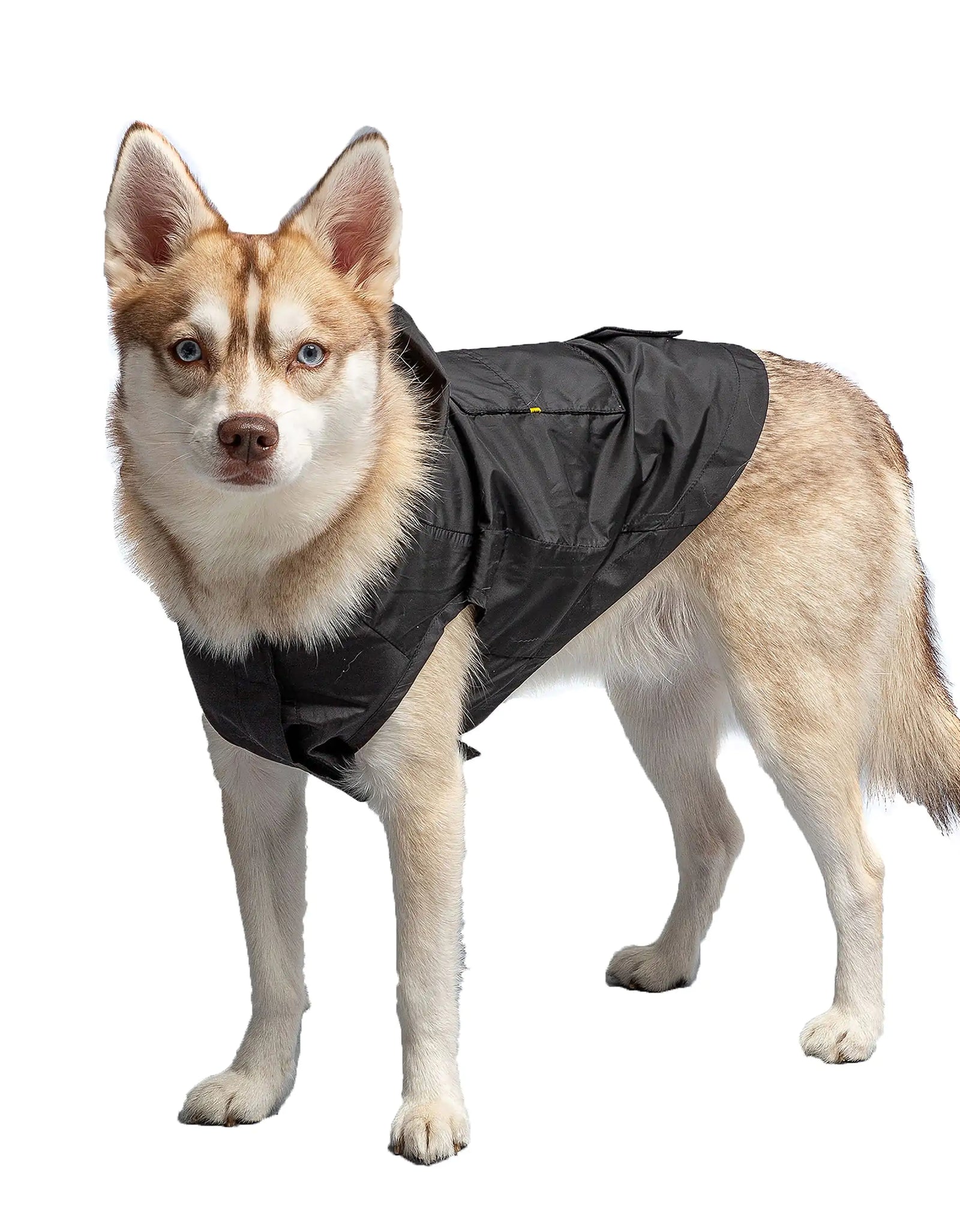 Black Packable Dog Raincoat