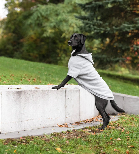 Brave Bark Hooded Dog Fleece