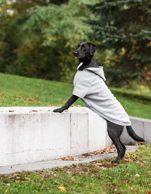Load image into Gallery viewer, Brave Bark Hooded Dog Fleece
