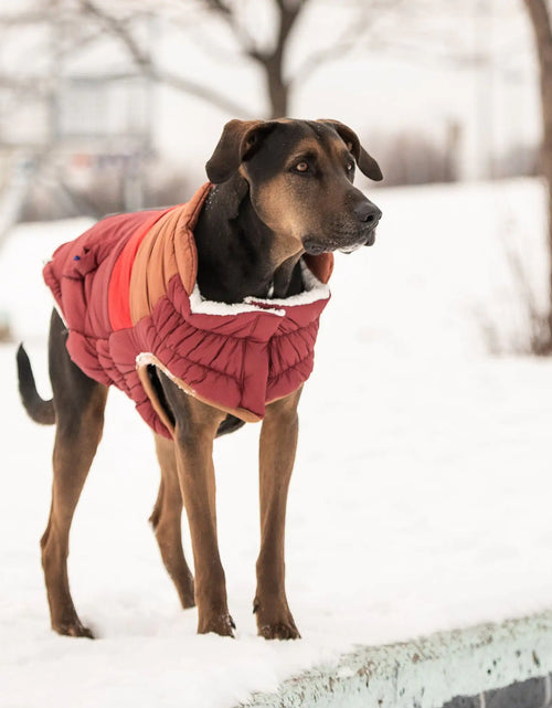Load image into Gallery viewer, Retro Puffer - Dark Red
