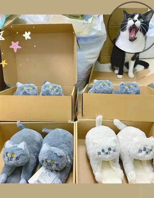 Load image into Gallery viewer, Cuddly Hug Cat Slippers
