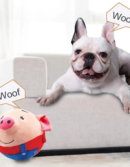Load image into Gallery viewer, PetPalz: Interactive Talking Ball For Pets
