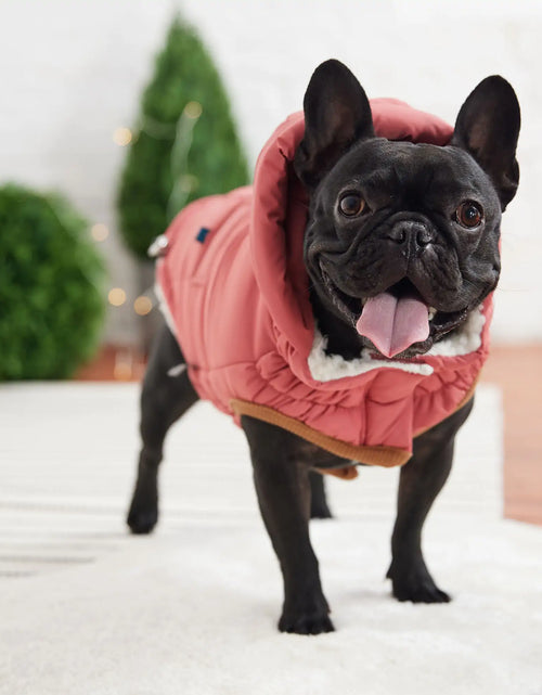 Load image into Gallery viewer, Super Puff Parka - Pink
