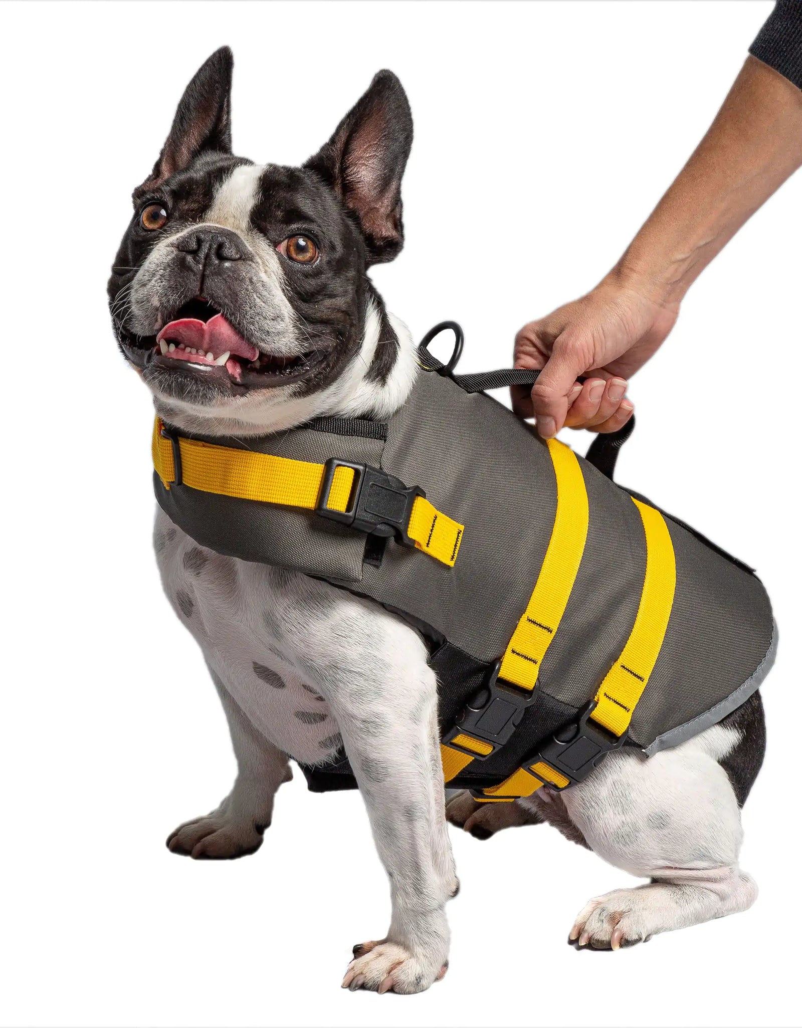 Army Dog Vest