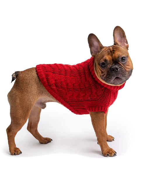 Load image into Gallery viewer, Red Chalet Dog Sweater
