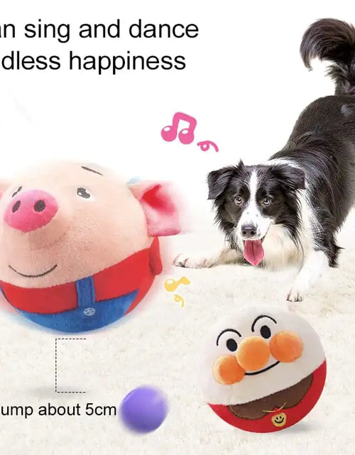 Load image into Gallery viewer, PetPalz: Interactive Talking Ball For Pets
