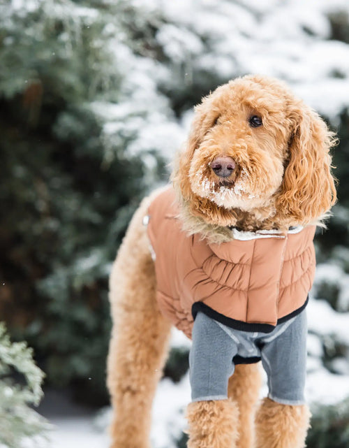 Load image into Gallery viewer, Elasto-Fit Urban Parka - Caramel

