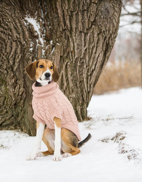 Load image into Gallery viewer, Snuggly Chalet Pet Sweater
