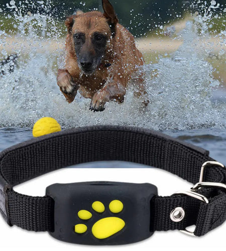 Pet GPS Tracker Collar