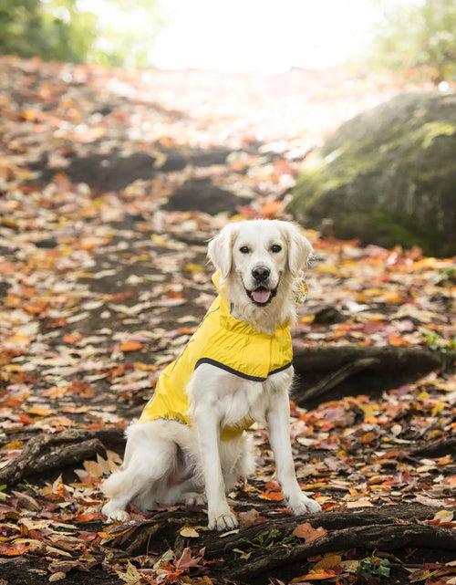 Load image into Gallery viewer, Reversible Elasto-Fit Raincoat - Yellow
