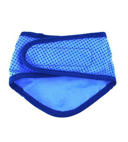 Dog Cooling Bandana