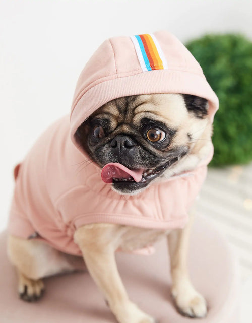 Load image into Gallery viewer, Elasto-Fit Urban Hoodie - Pink
