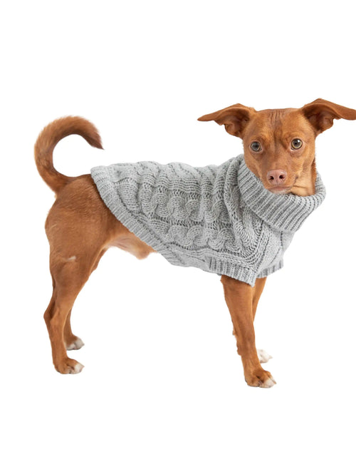 Load image into Gallery viewer, Chunky Dog Sweater
