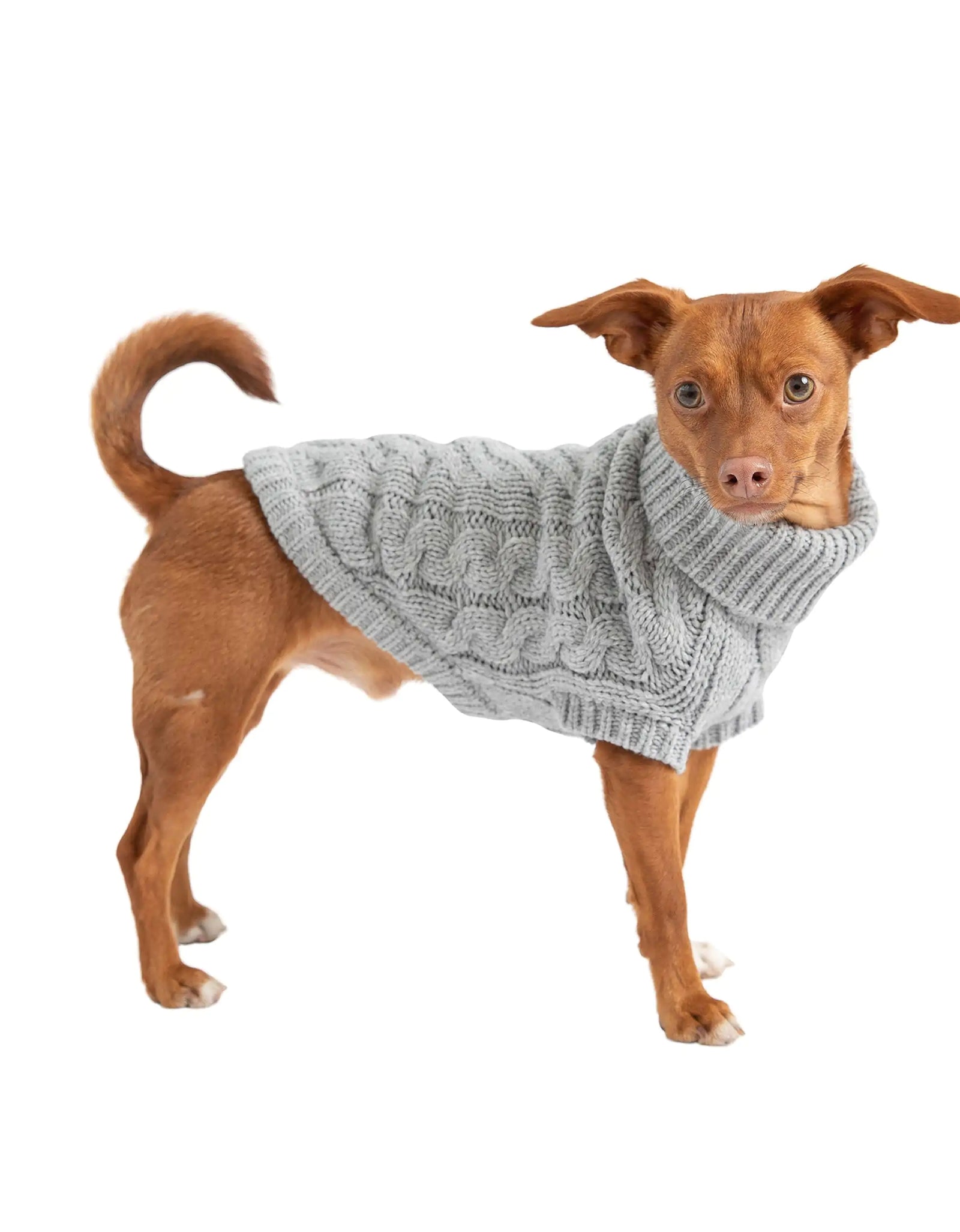 Chunky Dog Sweater